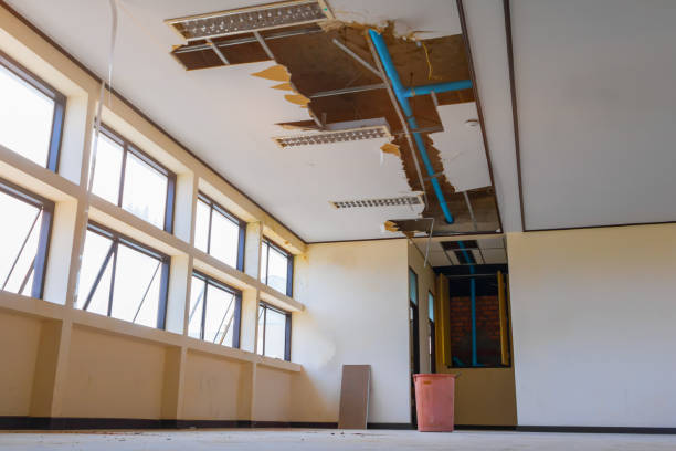 Best Local water damage restoration  in Burley, WA