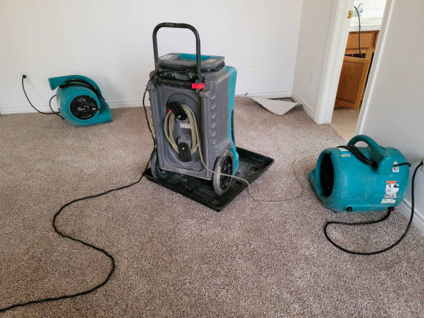 Best Commercial water damage restoration  in Burley, WA