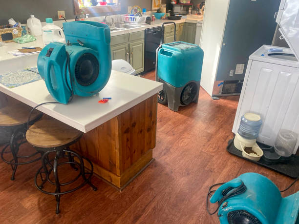 Best Water damage restoration cost  in Burley, WA
