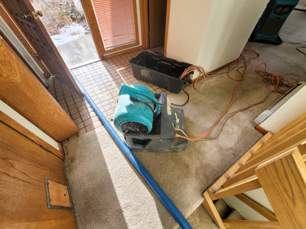 Best 24-hour water damage restoration  in Burley, WA