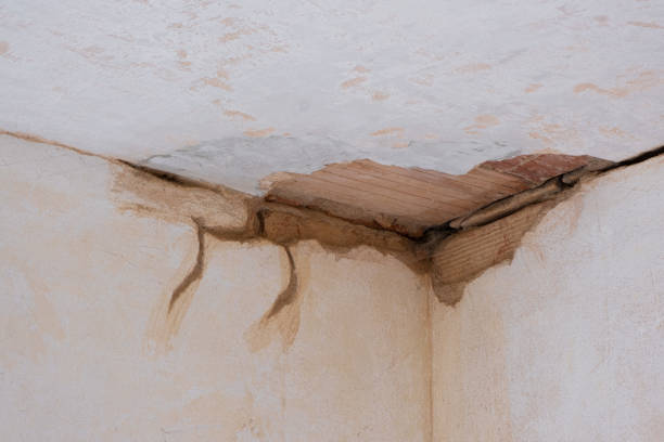 Water damage restoration experts in WA