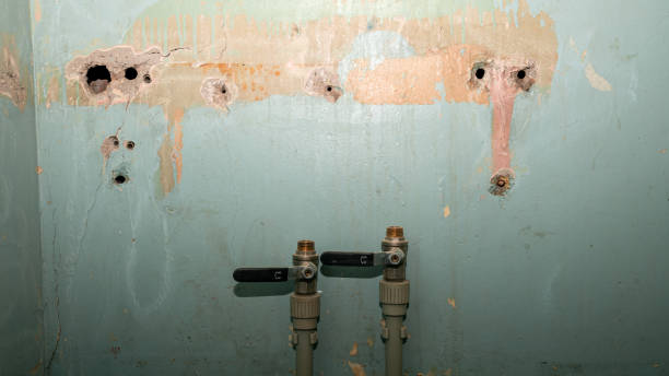 Best Water damage restoration near me  in Burley, WA
