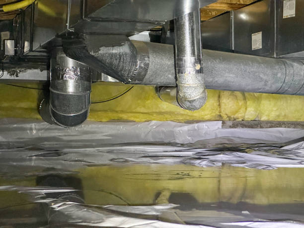 Best Water damage contractors near me  in Burley, WA