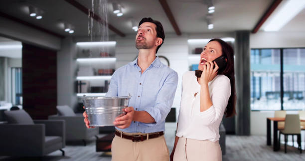Best 24/7 water damage repair  in Burley, WA